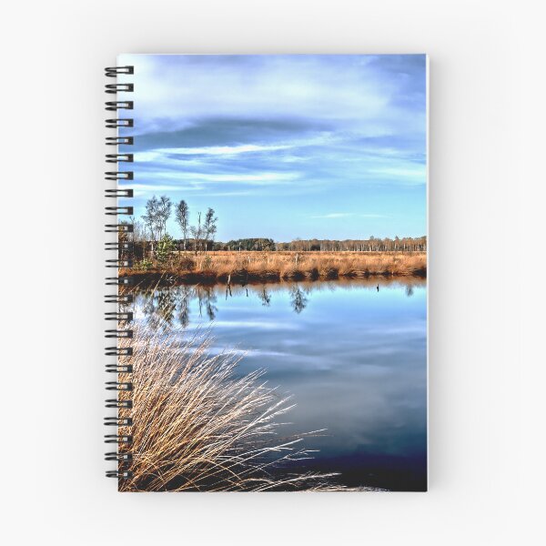 Item preview, I went into the swamps and the sky was blue like lapis lazuli designed and sold by knowswhathesees.
