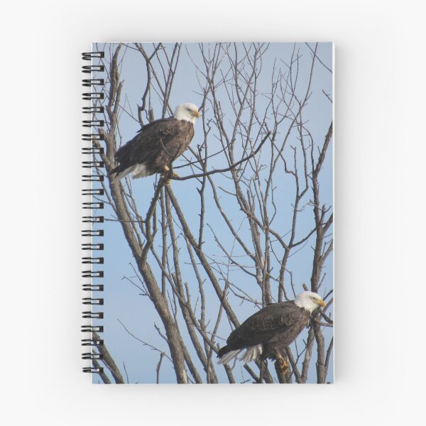 Item preview, Iowa Eagle - 1 designed and sold by Debbie Mueller.