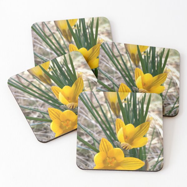 Item preview, Buttercup flower easter time designed and sold by FlyingSprinkles.