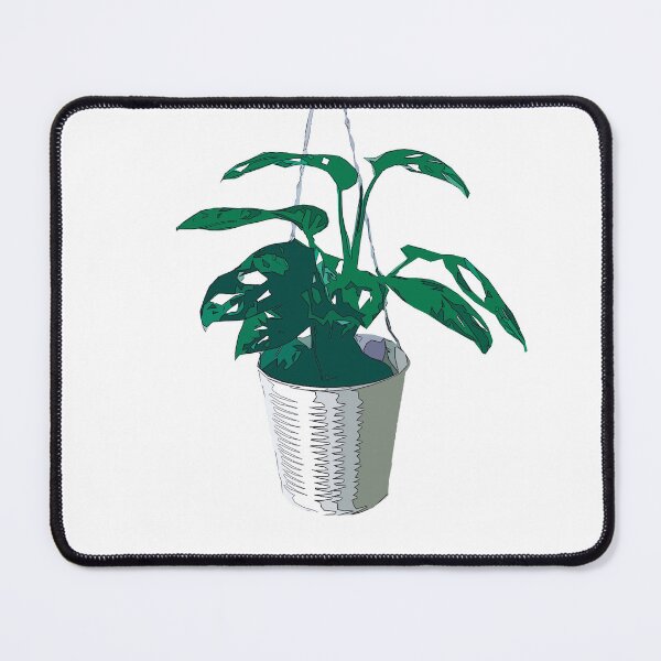Item preview, Monstera adansonii hanging pot designed and sold by AboveTheMist.