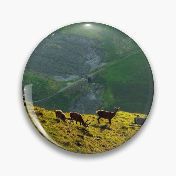 Item preview, Deer on the Isle of Arran, Scotland designed and sold by icomeinpeace2.
