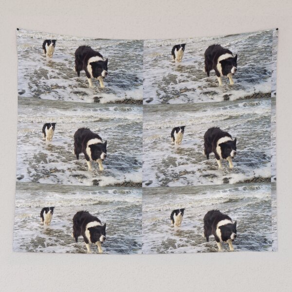 Item preview, "Surf's Up, Border Collie Style." designed and sold by Michael Haslam.