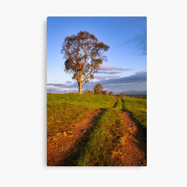 Drovers Run Canvas Print