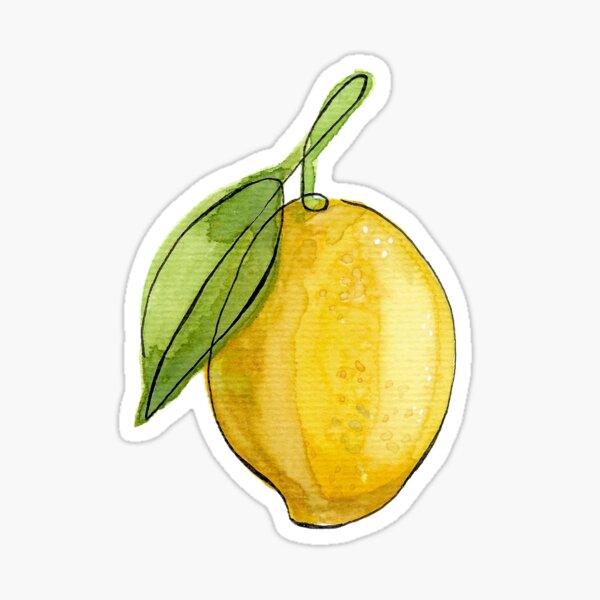 Lemon Little Meyer lemon