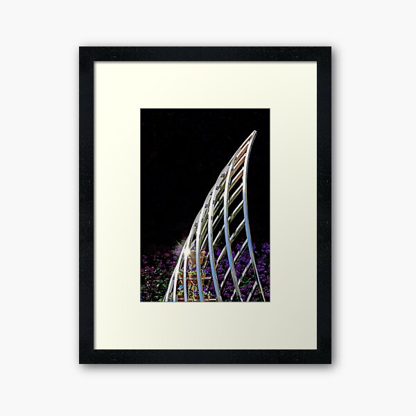 Shine Framed Art Print