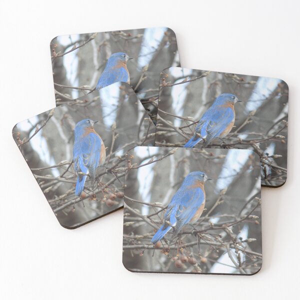 Item preview, Male Bluebird in Berry Tree 3/4 Back View designed and sold by DragonCGallery.
