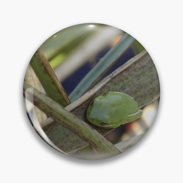 Item preview, Green Treefrog in Weeds 3/4 Front View designed and sold by DragonCGallery.