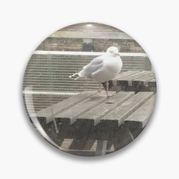 Item preview, Sunday Seagulls designed and sold by MuffinMaayan.