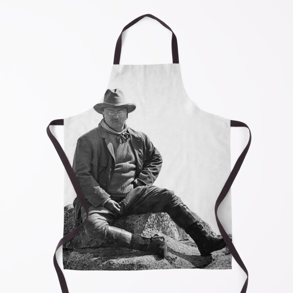 Item preview, Theodore Roosevelt Sitting At Glacier Point designed and sold by warishellstore.