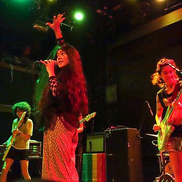 Artwork thumbnail, CSS Concert Photo - 2013 by FastDraw11
