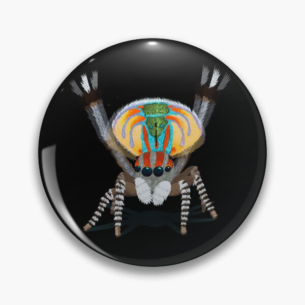 Item preview, Dancing Peacock Spider - Maratus Volans designed and sold by Lara Roche.