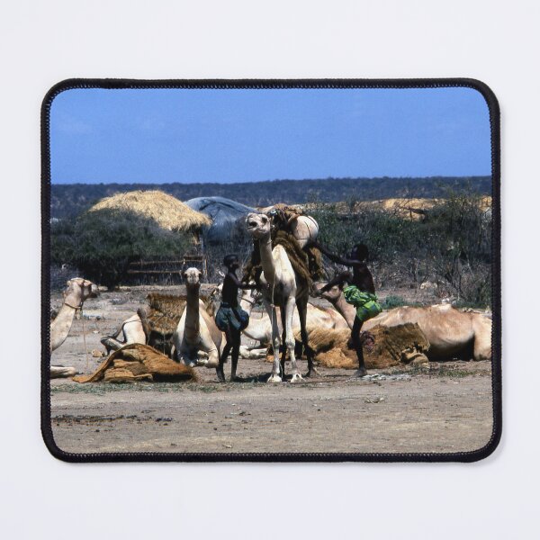 Item preview, Somalia Camel Transport 1980 designed and sold by VintageSomalia.