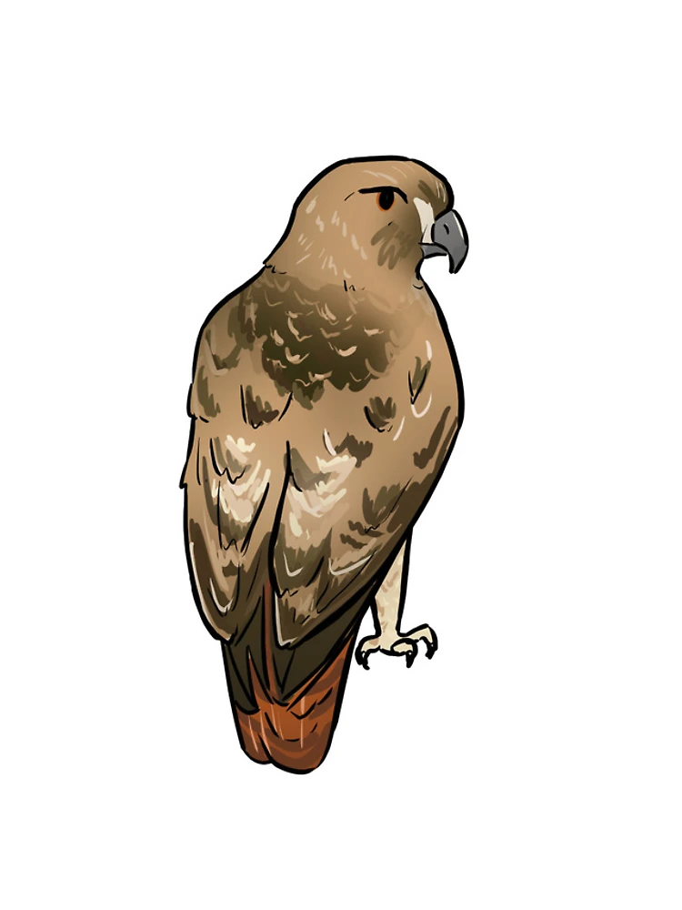 Thumbnail 4 of 4, iPhone Case, Hawk designed and sold by RacheDoodles.