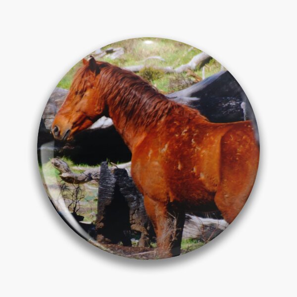 Item preview, A Brumby designed and sold by D-GaP.
