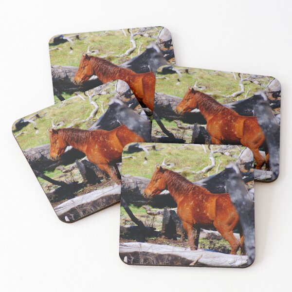 Item preview, A Brumby designed and sold by D-GaP.