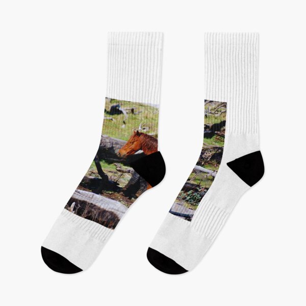 Item preview, A Brumby designed and sold by D-GaP.
