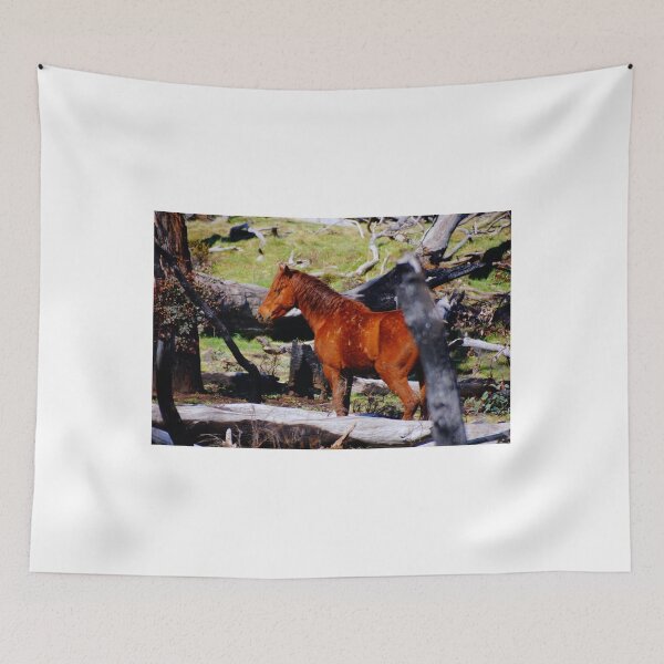 Item preview, A Brumby designed and sold by D-GaP.