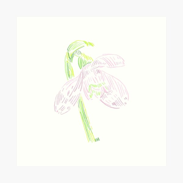 2022 01 flowers color pencils Art Print
