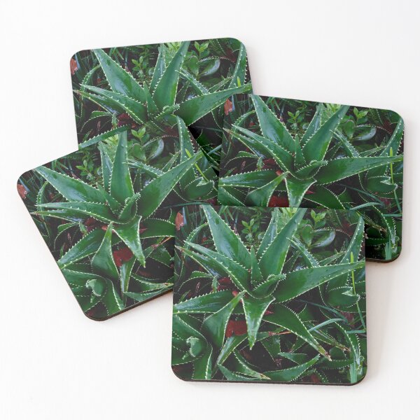 Item preview, Aloe Vera designed and sold by smh2.