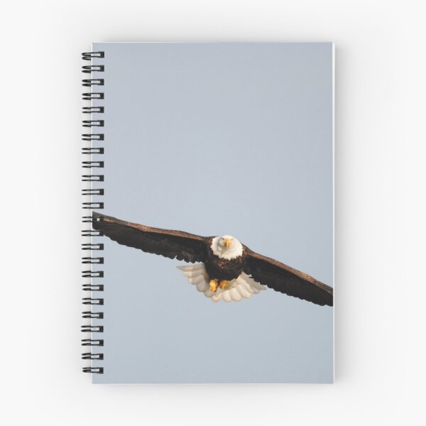 Item preview, Iowa Eagle - 8 designed and sold by Debbie Mueller.