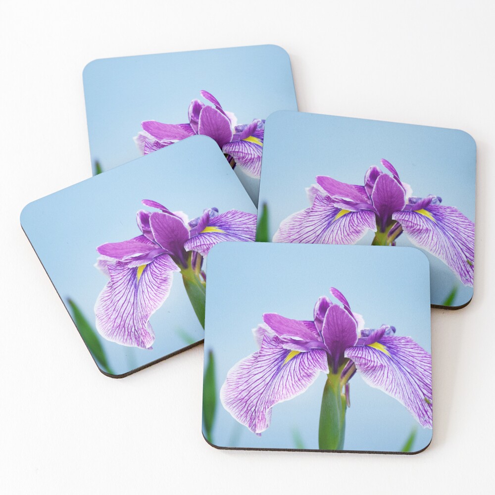 Item preview, Coasters (Set of 4) designed and sold by Reriginal.