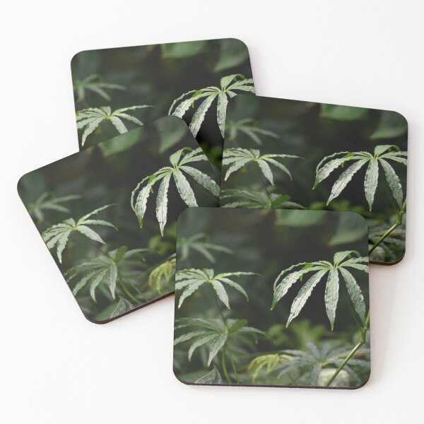 Item preview, Anthurium designed and sold by Tracy Engle.