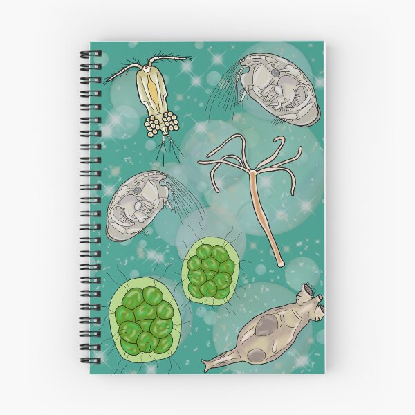 Item preview, Freshwater Organisms designed and sold by Artbychb.