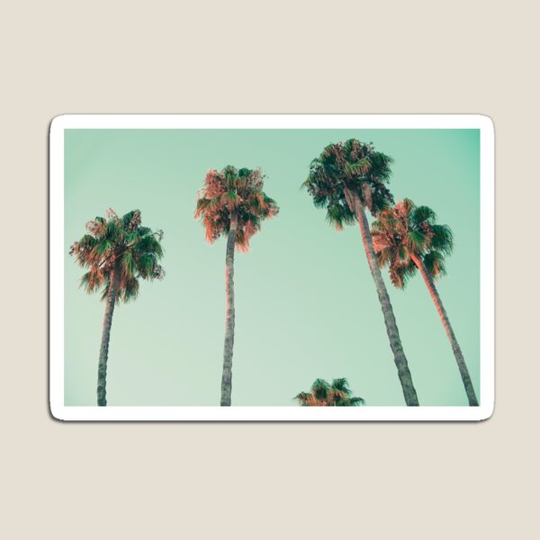Palm trees at sunset Magnet