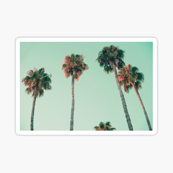 Palm trees at sunset Sticker