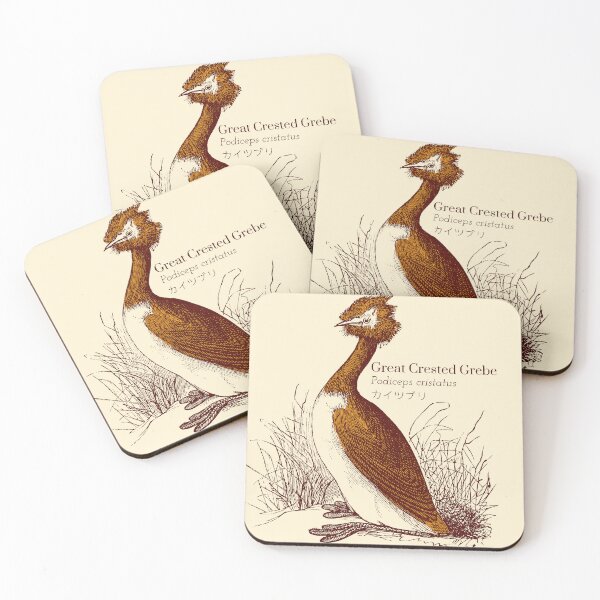 Item preview, Great Crested Grebe Podiceps cristatus カイツブリ Bird Scientific Wildlife Japanese designed and sold by Snoot-Store.