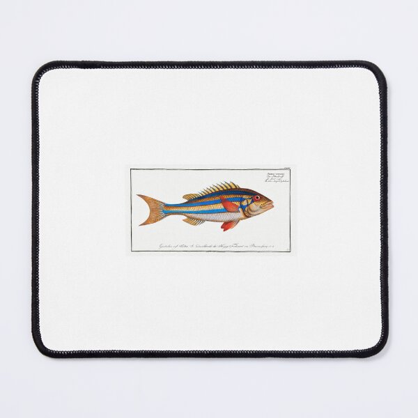 Item preview, Congrats Dad on your big catch designed and sold by Inspieation.