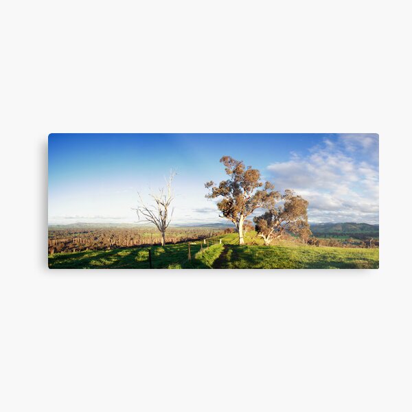 My Australia Metal Print