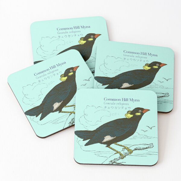 Item preview, Common Hill Myna Gracula religiosa キュウカンチョウ Bird Scientific Wildlife Japanese designed and sold by Snoot-Store.