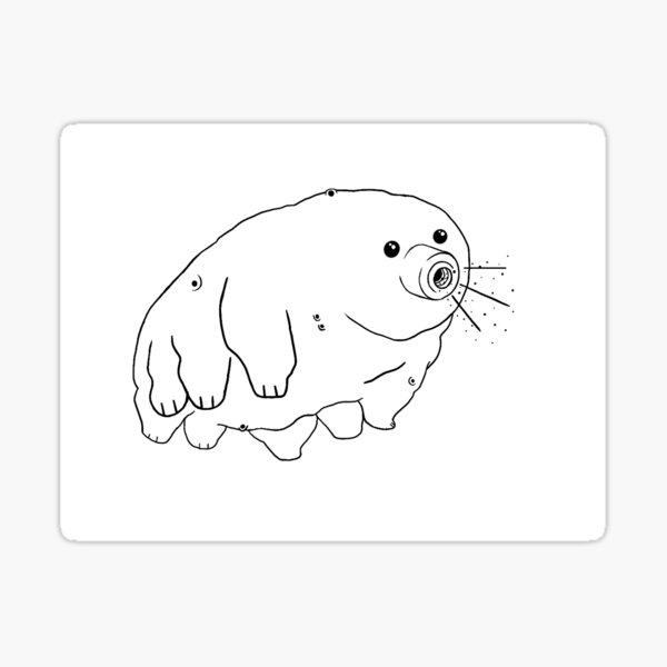 "water bear" Sticker by prettylilenby Redbubble