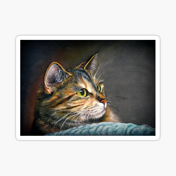Maine Coon Tabby Cat Artwork Sticker
