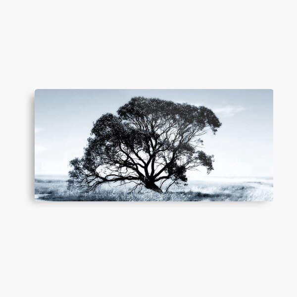 Wide Screen Love Metal Print