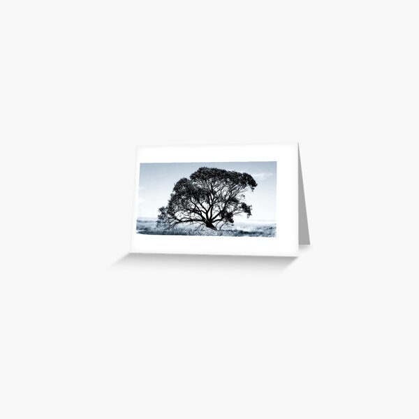 Wide Screen Love Greeting Card