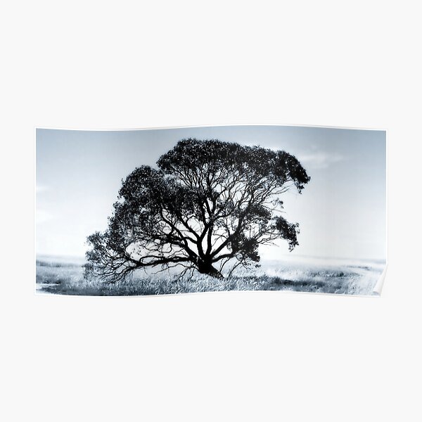 Wide Screen Love Poster