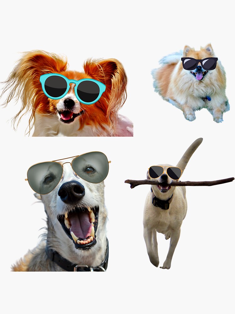 "Happy Dogs with Glasses Sticker Pack (4)" Sticker by LakeGitcheGumee