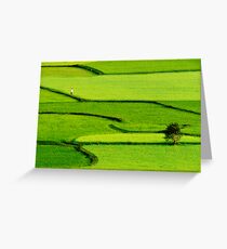 paddy's color Greeting Card