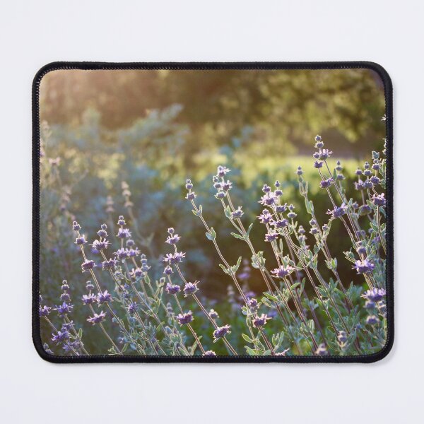 Item preview, Purple Plants at Golden Hour designed and sold by Emmaline Jones.