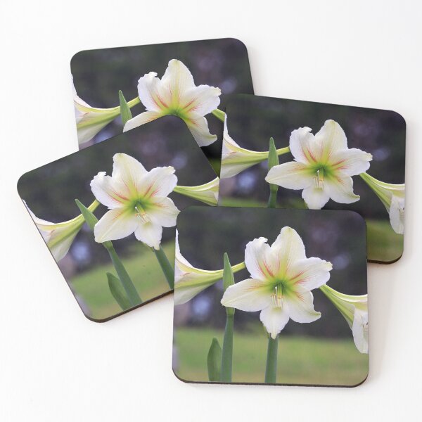 Item preview, Flowers in Bloom designed and sold by likbatonboot.