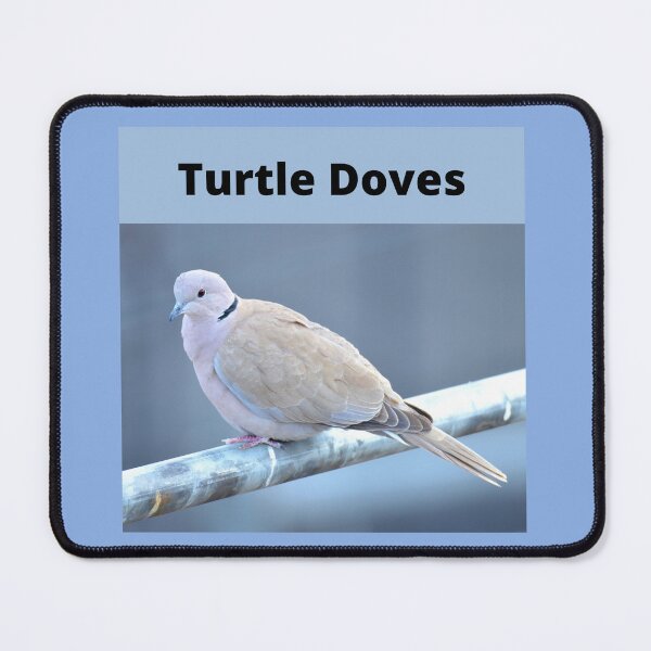 Item preview, White Turtle Dove in wild woods, Dove of Peace designed and sold by LGMmugsdesign.