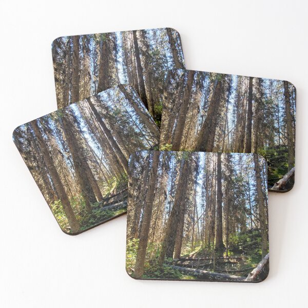 Item preview, Forest Path Summer designed and sold by Katexdes.