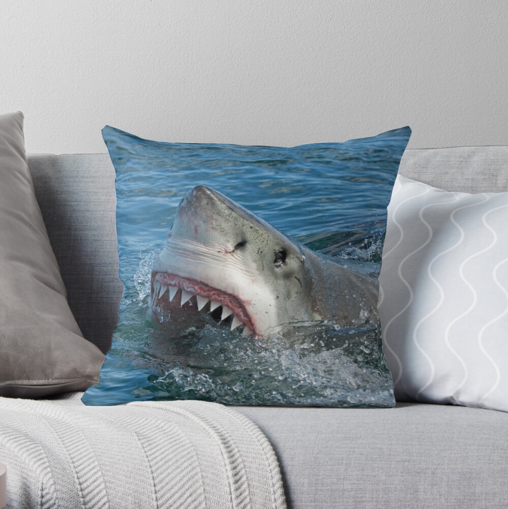 shark throw pillow