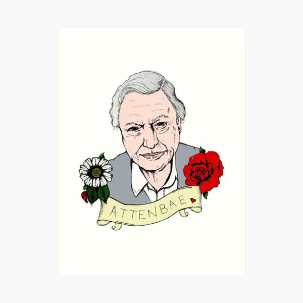 David Attenborough - AttenBae in Colour Art Print