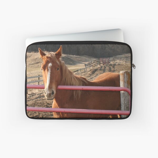 Item preview, Horse at the Fence designed and sold by Claude Johnson.