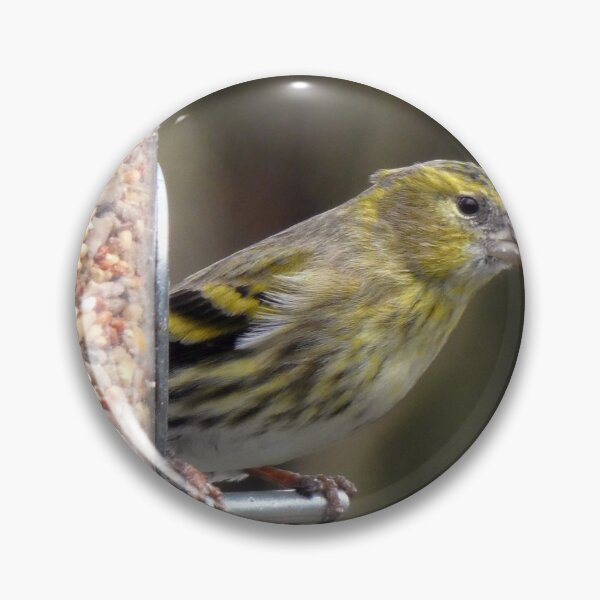 Item preview, siskin designed and sold by KathleenDawson.