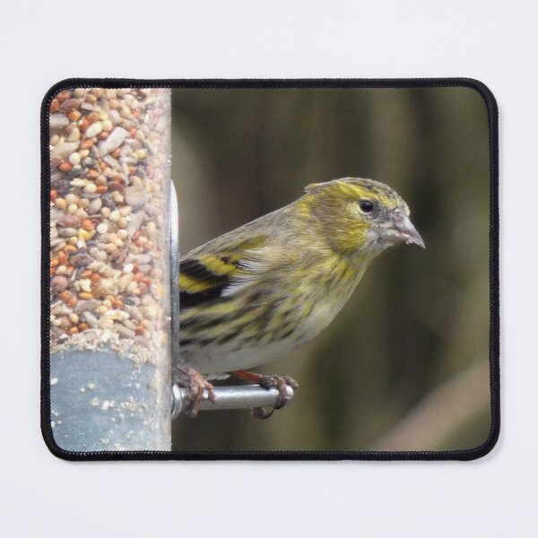 Item preview, siskin designed and sold by KathleenDawson.
