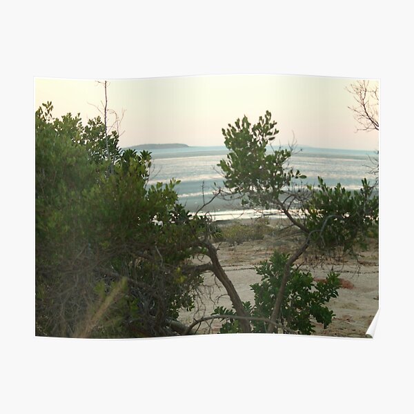 Clairview, North Queensland, Morning Light Poster